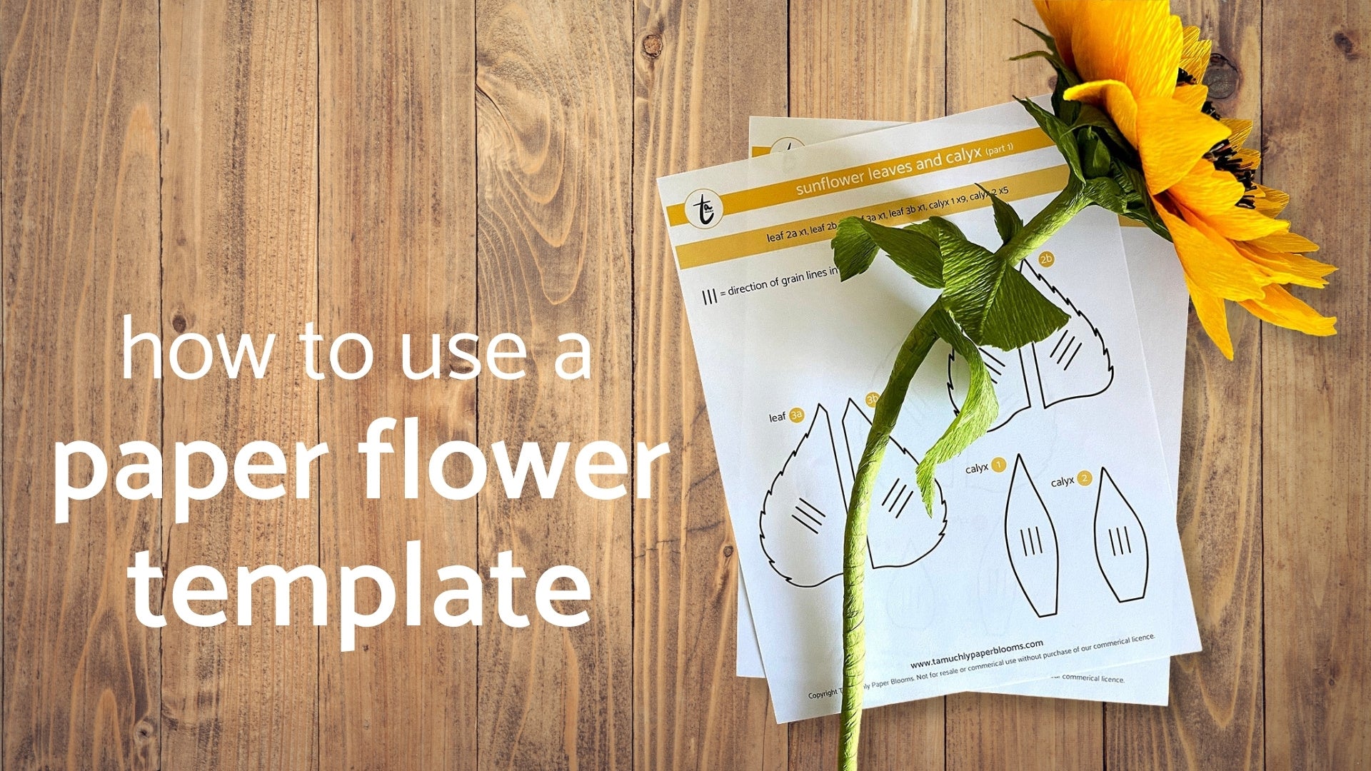 Load video: how to use a paper flower template