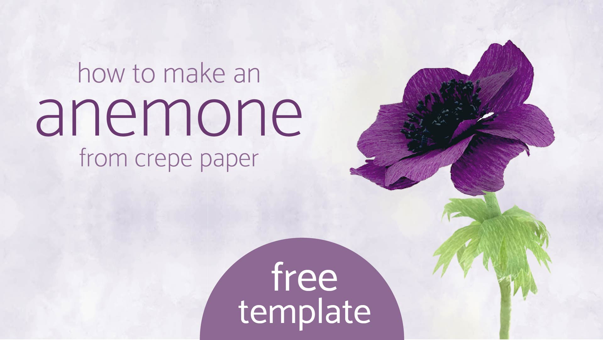 Load video: how to make a paper anemone