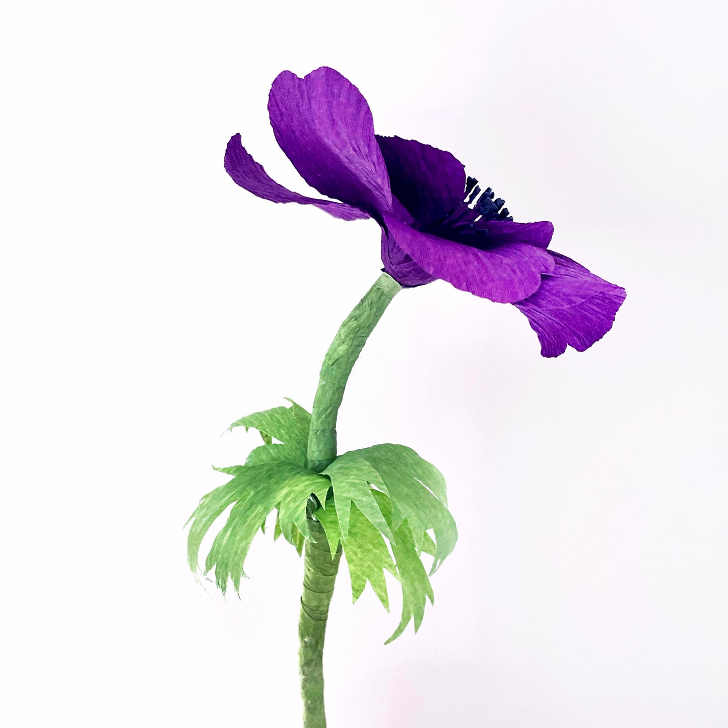 paper anemone template | free paper flower template | crepe paper flowers | free flower templates | crepe paper anemone tutorial