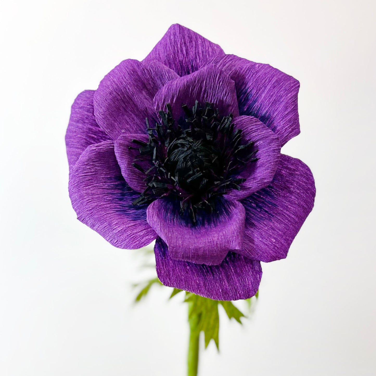 paper anemone template | free paper flower template | crepe paper flowers | free flower templates | crepe paper anemone tutorial