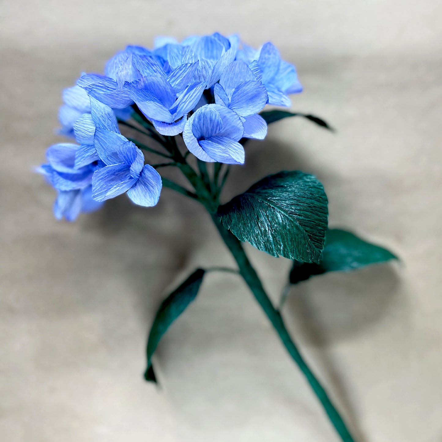 paper hydrangea tutorial | crepe paper hydrangea template | paper flower tutorial | diy paper flowers