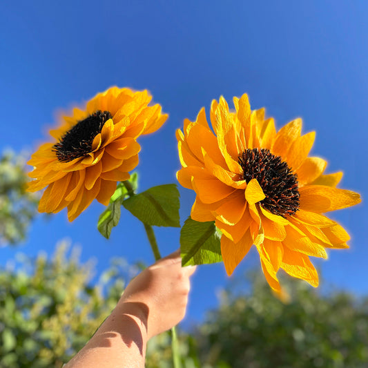 paper flower template | paper sunflower template | paper flower tutorial | how to make paper flowers | how to make paper sunflowers | crepe paper flowers | diy paper sunflowers