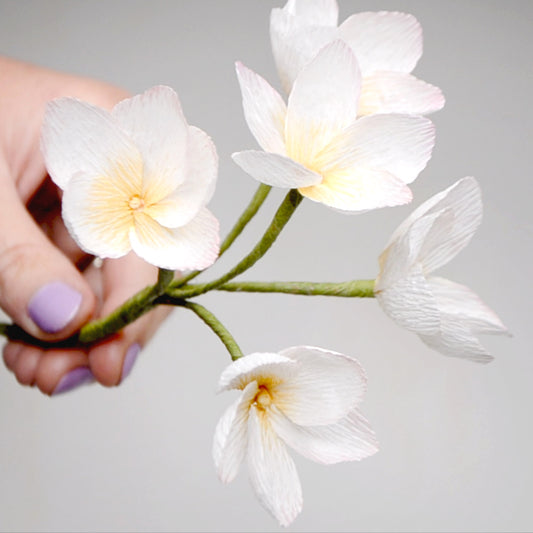 Paper flower tutorial | paper flower template | How to make paper flowers | Crepe paper flower tutorial | DIY paper plumeria | paper flowers | crepe paper flowers | free paper flower template | free paper plumeria tutorial | free paper plumeria template