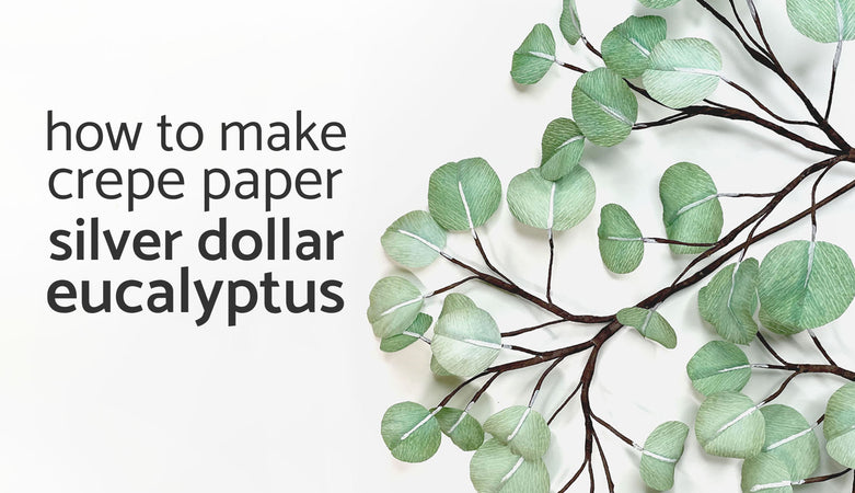 how to make crepe paper silver dollar eucalyptus