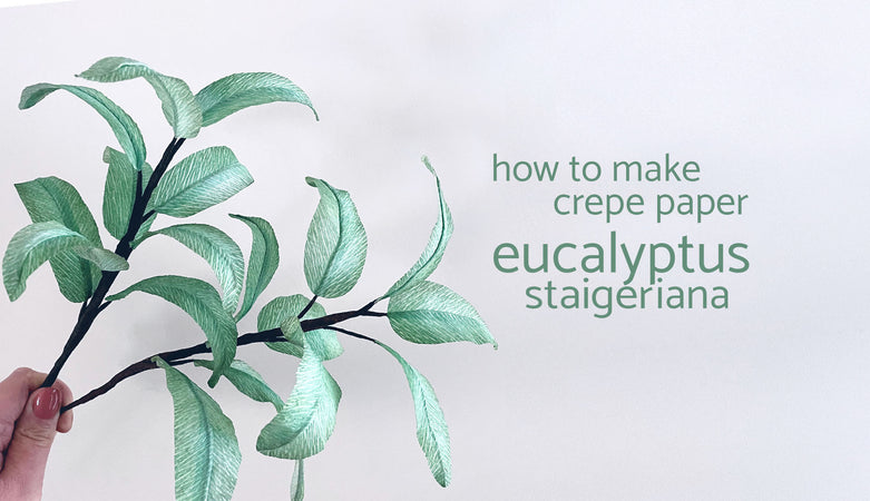 how to make crepe paper eucalyptus