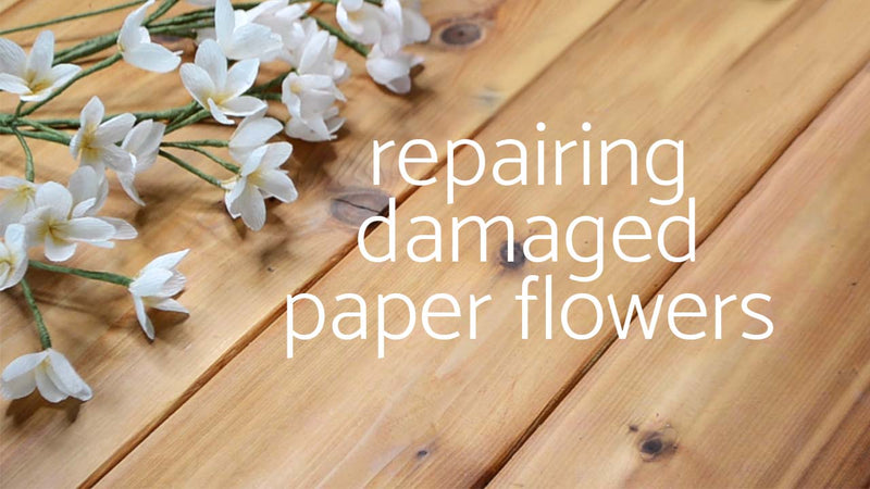 Repairing damaged paper flowers