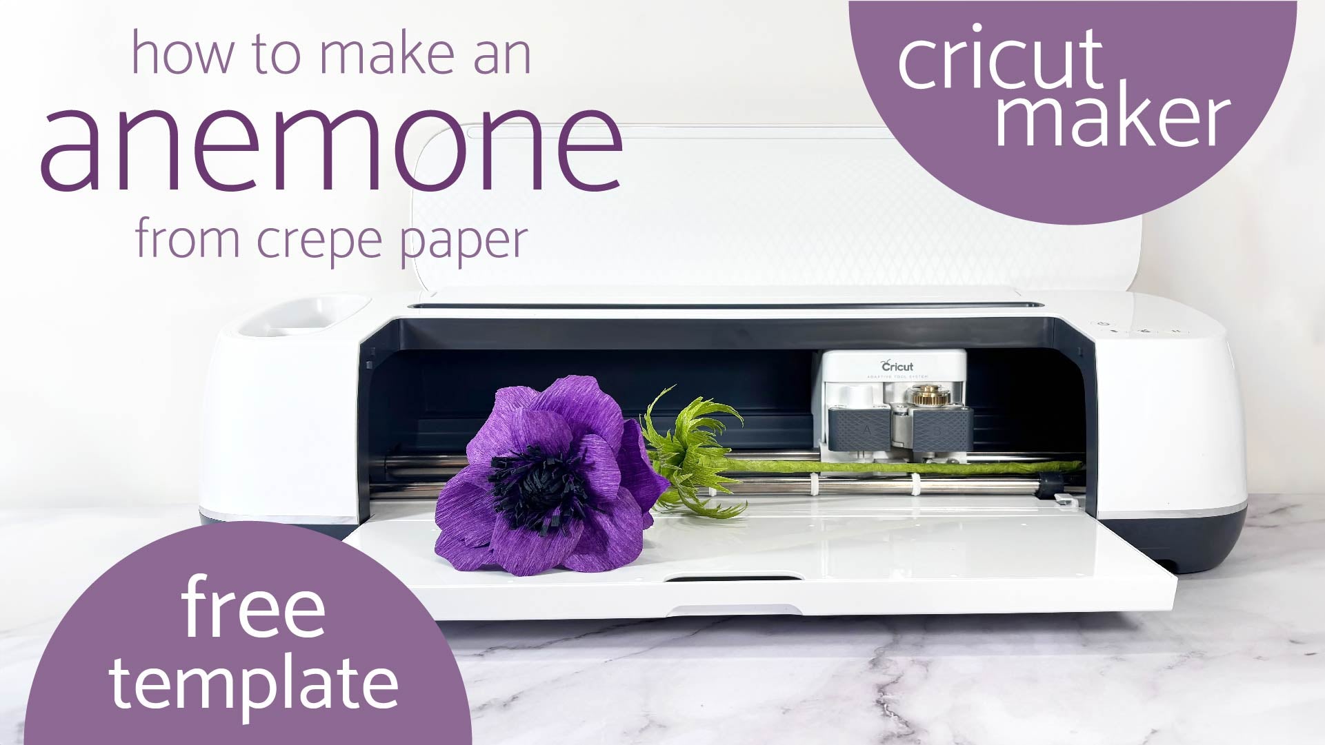 Load video: how to make an anemone from crepe paper using cricut maker