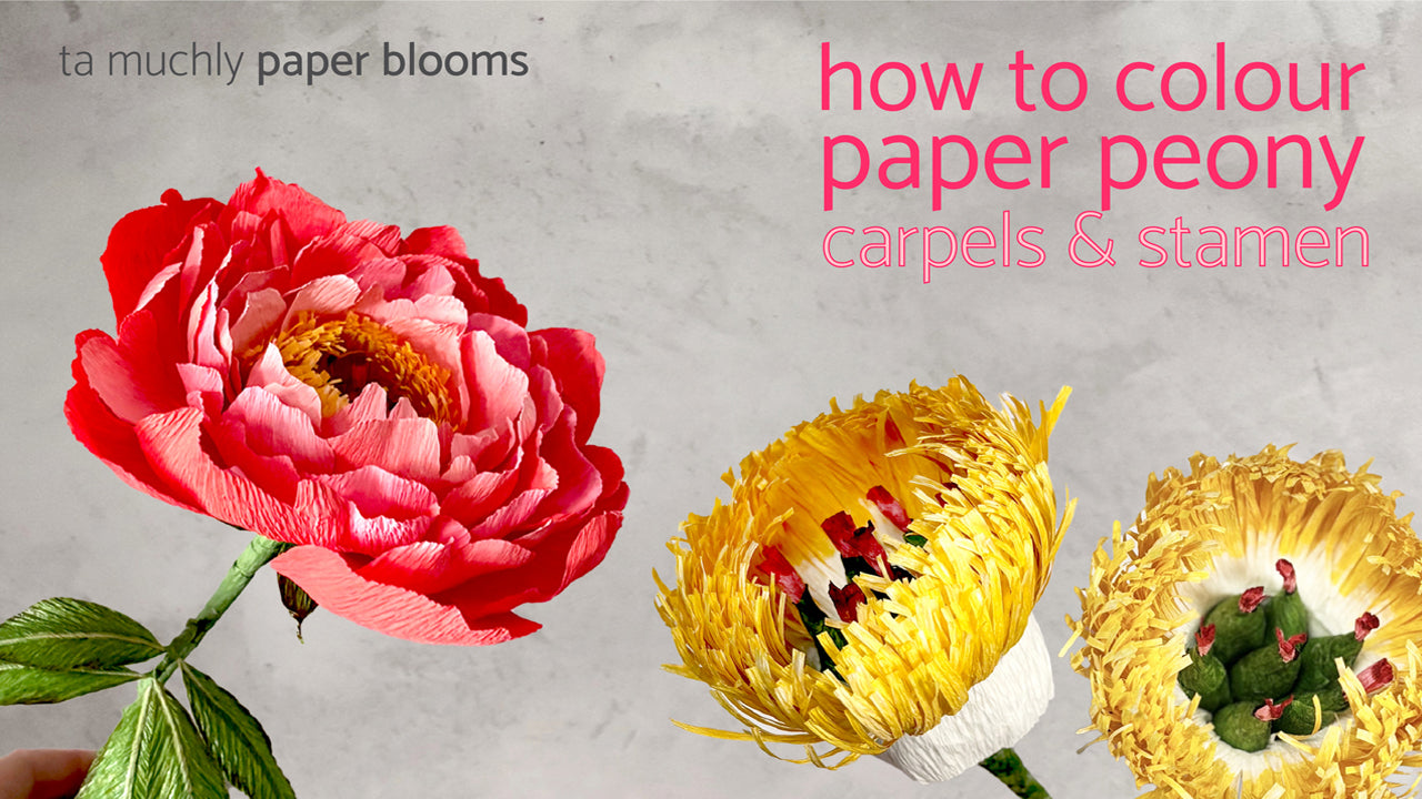 Load video: how to make a paper peony