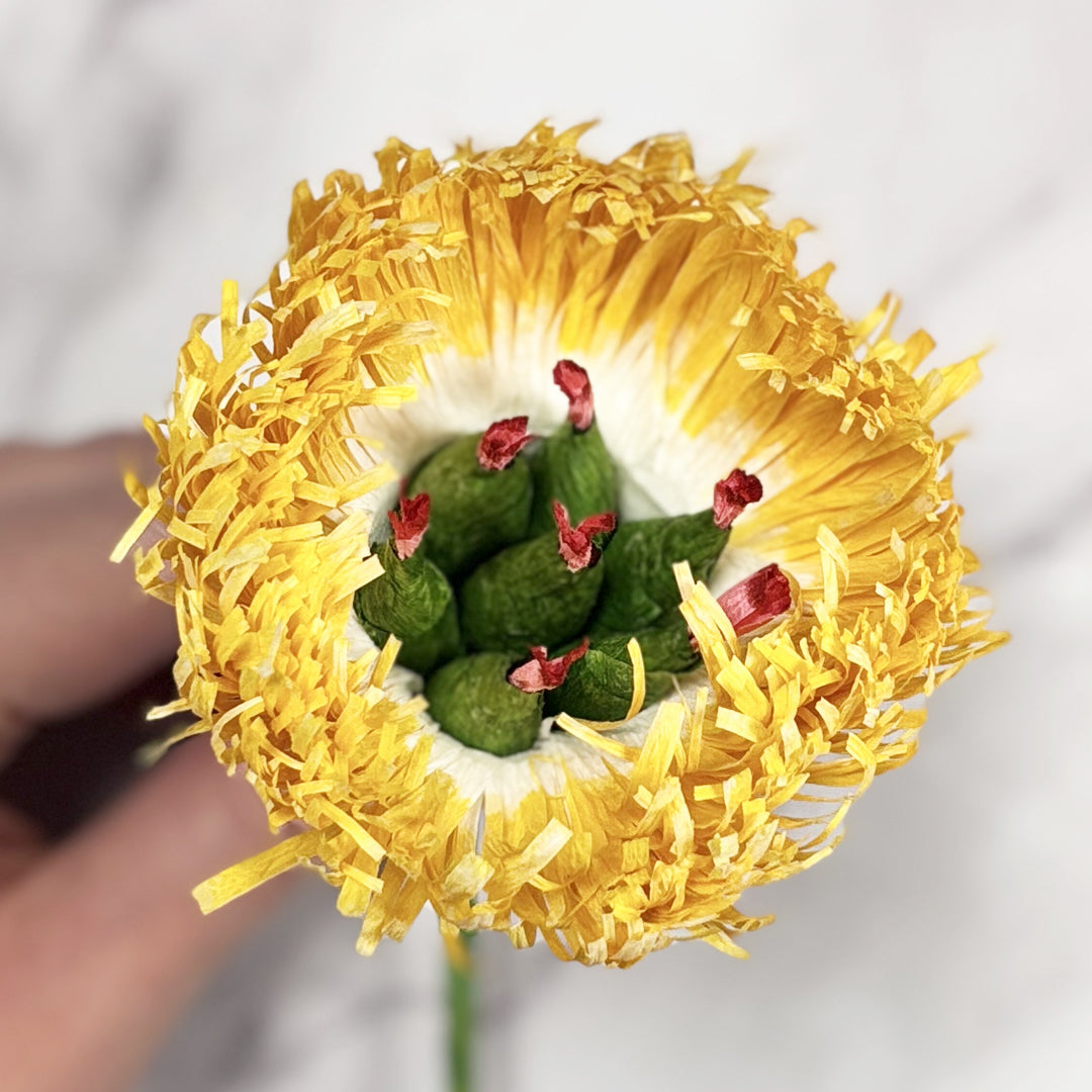 paper coral charm peony centre