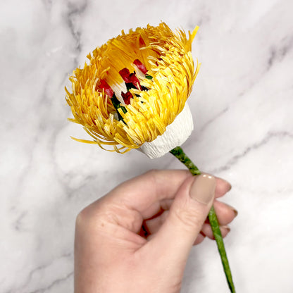 coral charm peony made from crepe paper