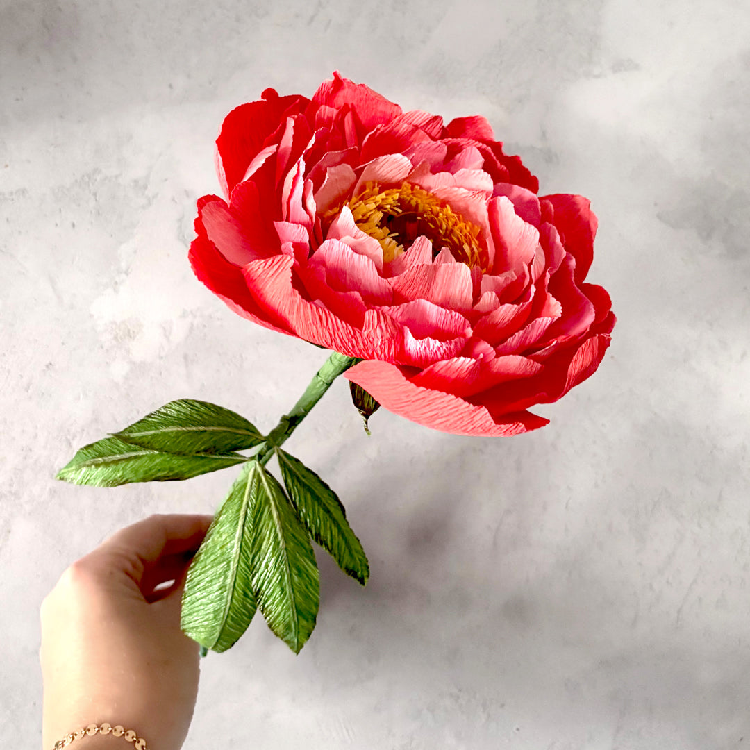 Paper coral charm peony flower
