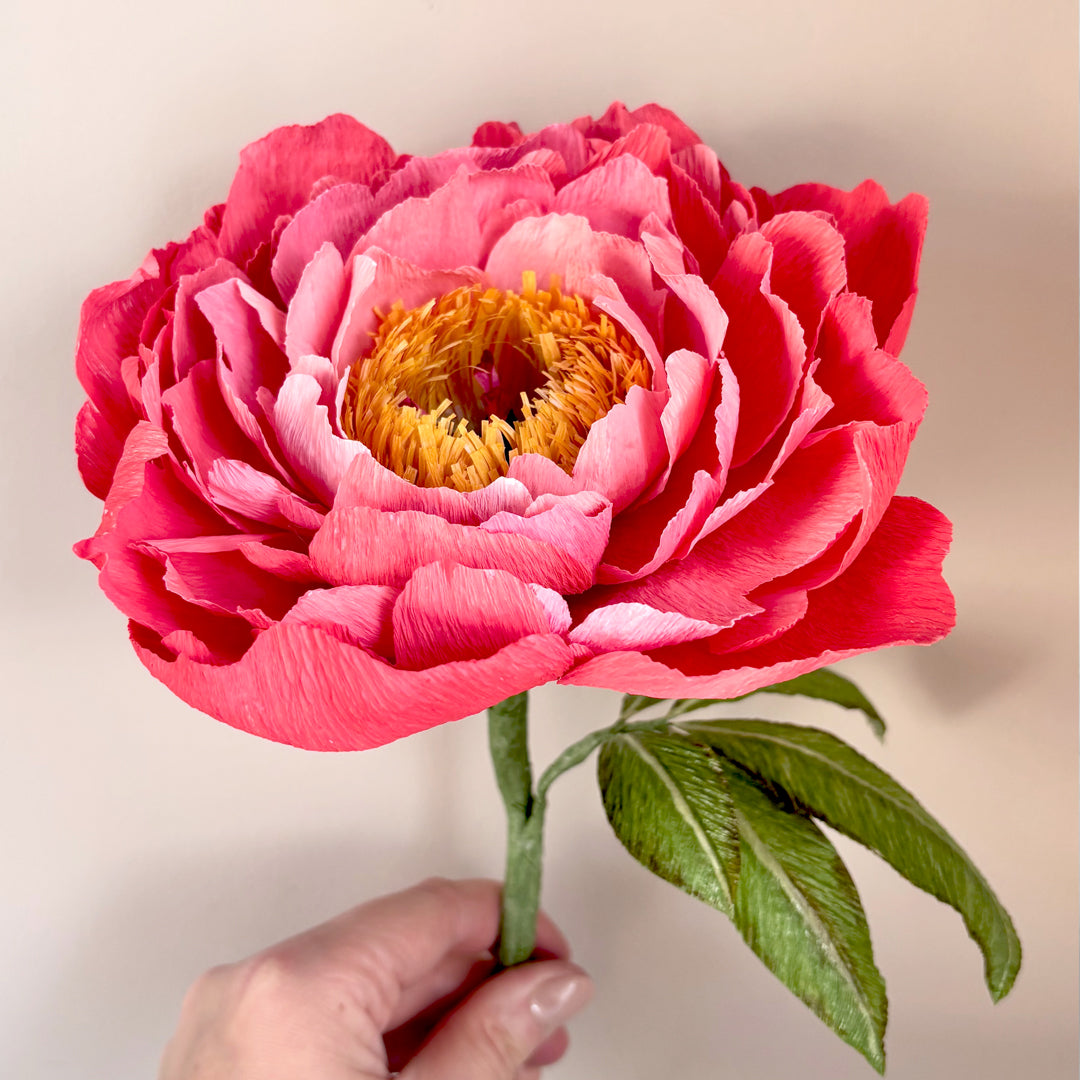 crepe paper peony template