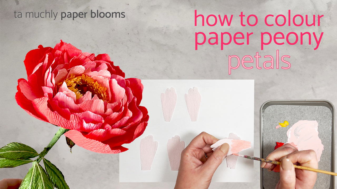 Load video: how to colour paper peony petals
