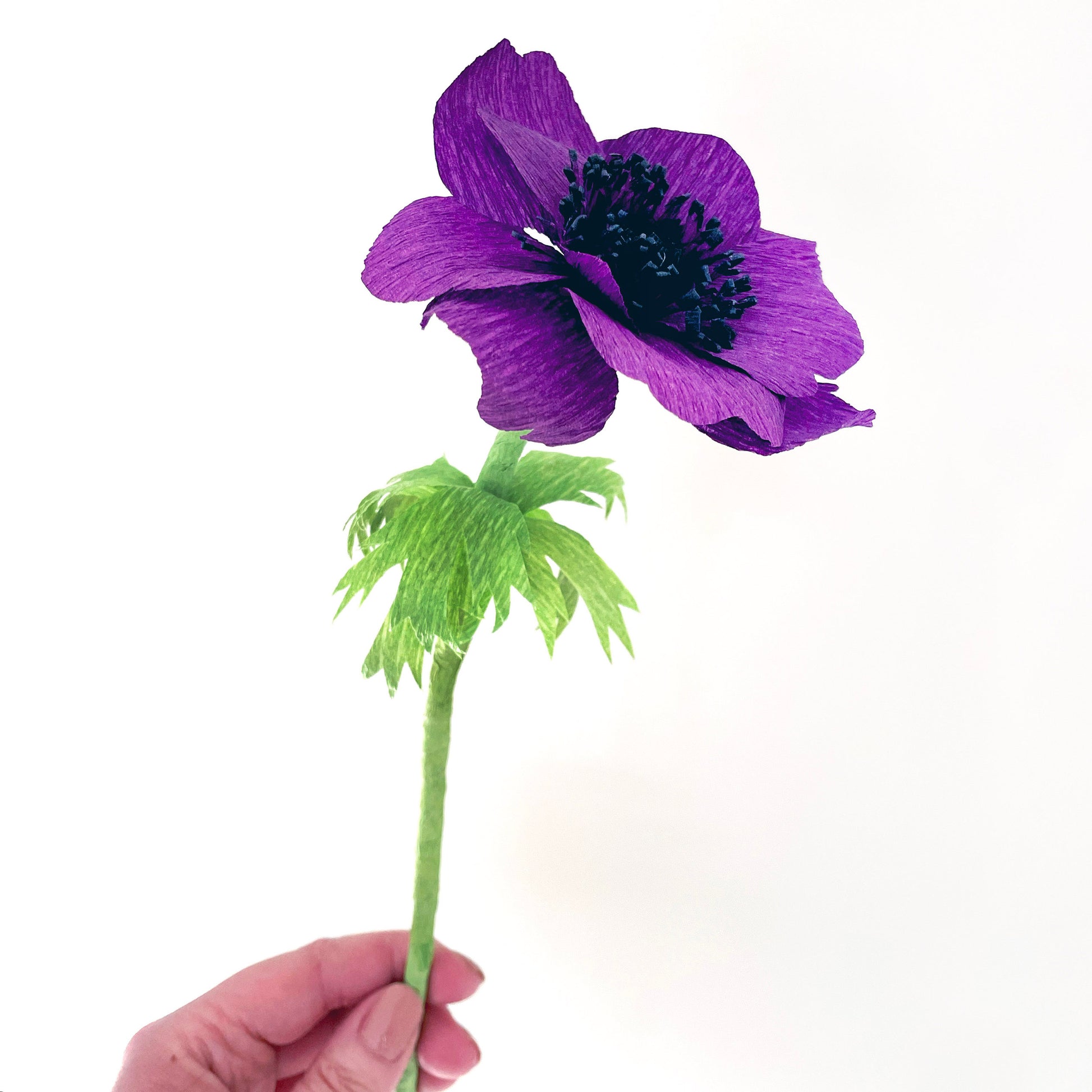 paper anemone template | free paper flower template | crepe paper flowers | free flower templates | crepe paper anemone tutorial