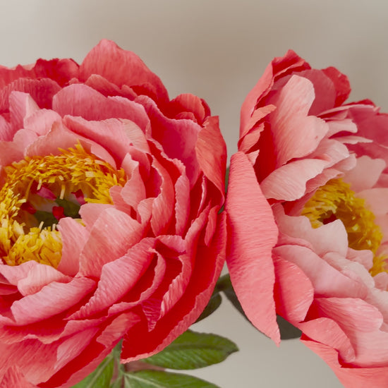 paper peony tutorial