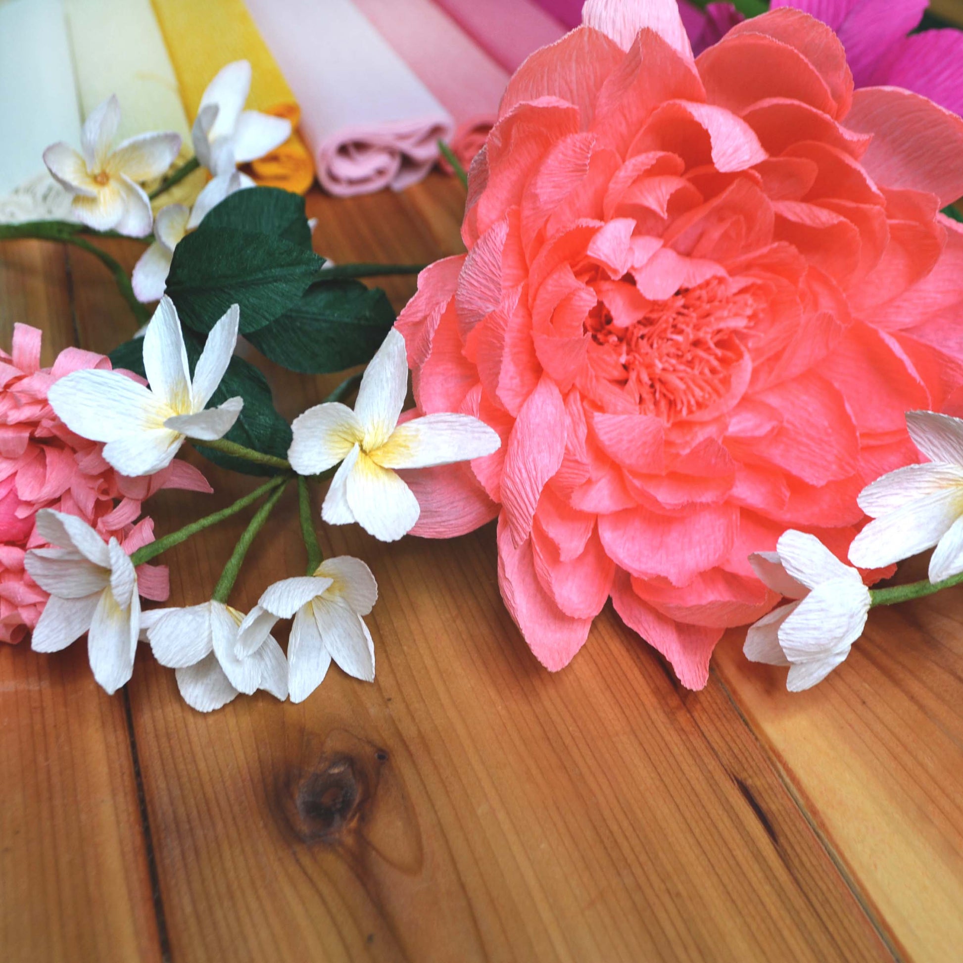 Paper Plumeria Template – Ta Muchly Paper Blooms